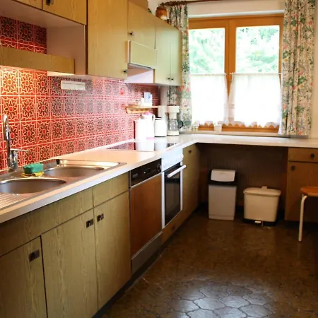 Near With Mountain View Appartement Flachau