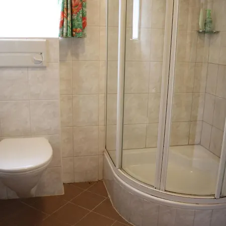 Near With Mountain View Appartement Flachau